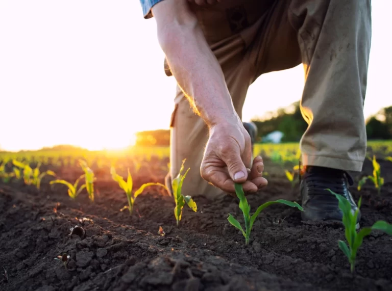 agricultor_large