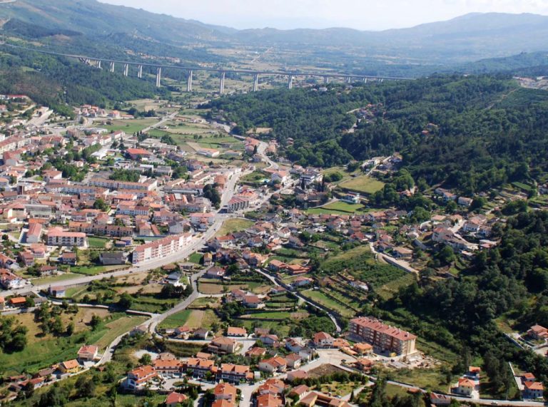vpaguiar_large