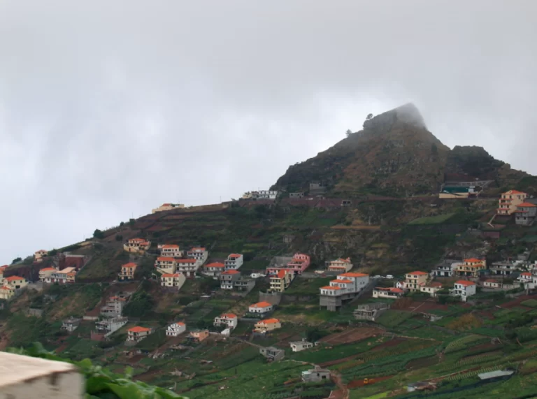 imagem_2023-02-01_144701286_large